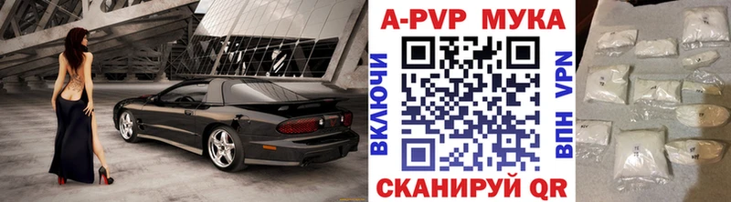 A-PVP СК КРИС  ОМГ ОМГ вход  Липецк 