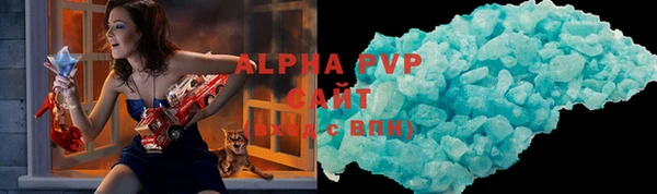 хмурый Абаза