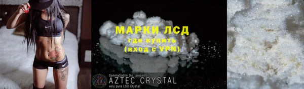 хмурый Абаза