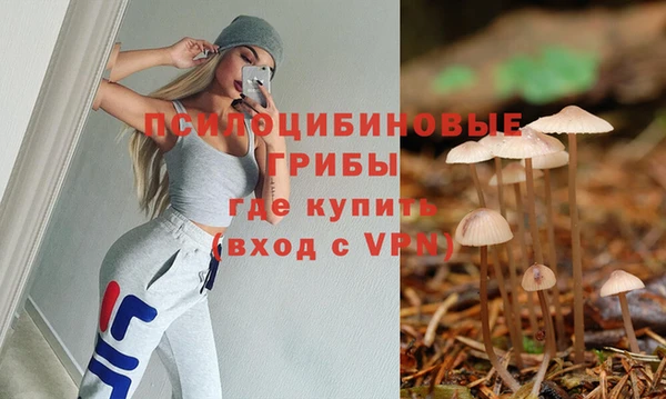 гидра Магас