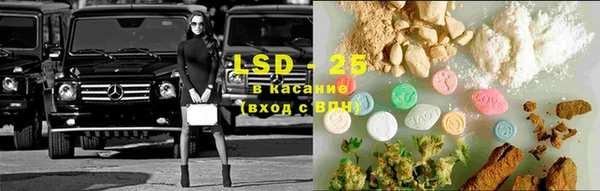 гидра Магас